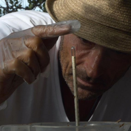 Foto Festival de Málaga 2023: todas las películas y cortos gastronómicos
