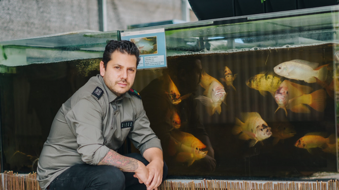 Foto Día Mundial de la Gastronomía Sostenible: el único restaurante de Málaga con una Estrella Verde Michelin